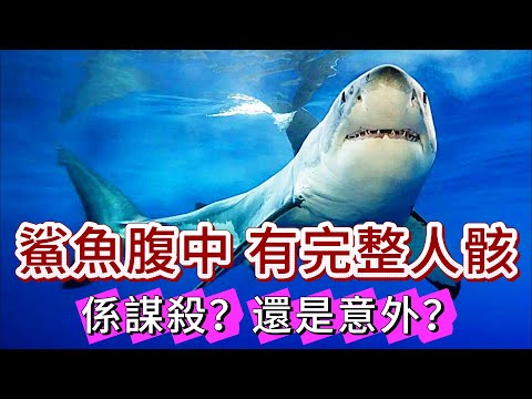 【真實案件】| 鯊魚唔中意食人，但這條鯊魚腹中有完整人骸！是謀殺，還是意外？盤點水下離奇的死亡事件！#犯罪#案件 #案件解說 #真實故事 #criminal #刑事案件
