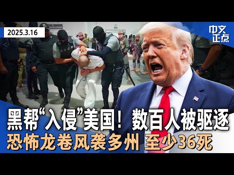 法官下达禁令前 川普政府驱逐数百非法移民 系这国黑帮成员｜川普第二任期首个！边境墙开建｜川普、普京下周再通话｜恐怖龙卷风袭多州 至少36死｜星巴克被判赔男子$5000 因…《中文正点》25.3.16