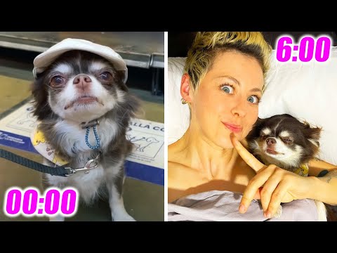 OUR DAY: MEET THE DOGS, WALK SHOPPING, EAT DOG ICE CREAM, TRY ON DUMB CLOTHES