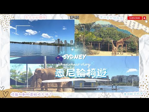 [澳洲🇦🇺2023] EP.1 悉尼 Sydney｜塔龍加動物園 Taronga Zoo｜第一次見樹熊同獅子｜紫外線超強｜搭船體驗｜輪椅｜悉尼｜澳洲