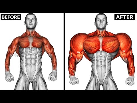 The BEST Full UPPER BODY Workout AT GYM