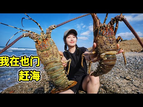 也门赶海，海底沉船抓龙虾，巨大海螺捡不完，辣炒一锅香！| 赶海 | 龙虾 | 浮潜 | 海鮮 | 户外 |