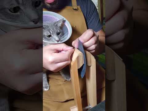 10 Ancient Facts About Leather Craft History! | Making a Bifold Wallet