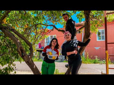 ТУРЦИЯ! Деревенская ЖИЗНЬ! Как украли НЕВЕСТУ? Готовим: САРМА, ЧИ КЮФТЕ и ЛЕПЁШКИ!