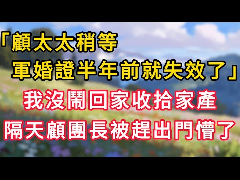 「顧太太稍等，您的軍婚證半年前就失效了，」我沒鬧回家收拾家產，隔天顧團長被趕出門人懵了！ #為人處世 #生活经验#深夜淺讀 #情感故事 #人間心理 #小说