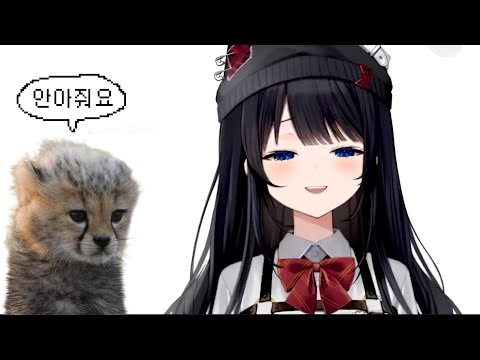 너무 귀여운 치타와 키우고 싶은 히나