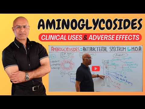 Aminoglycosides | Clinical Uses and Adverse effects 💊