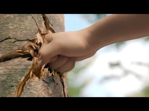 بنت فقيره بتنتقل لمدرسه جديده فكروها ضعيفه وهيتنمروا عليها بس بيكتشفوا ان عندها قوه خارقه ملخص مسلسل