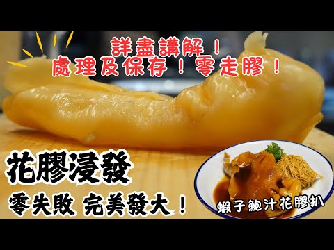 Best Fish Maw Rehydrating Preparation Tutorial for Begineers! Tips Well Explained!