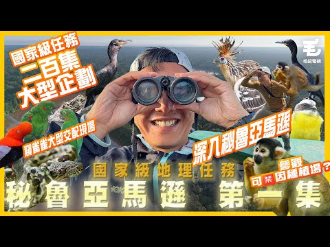 第二百集大型企劃‼️深入秘魯亞馬遜🌲偷窺雀雀大型交配現場😏見證可X因種植場？《國家級地理任務》秘魯亞馬遜 Ep.1