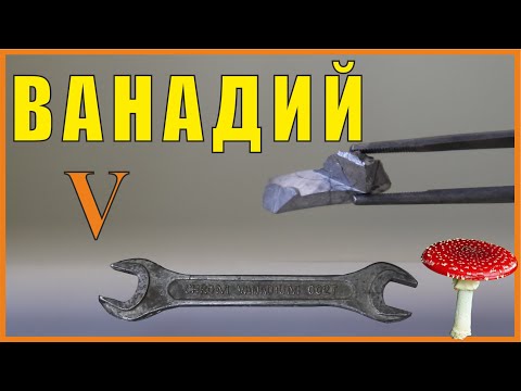 Vanadium is a Friday element found in oil and fly agarics.