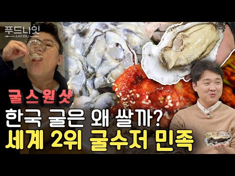 ENG SUB] Foreigners are shocked by the price of Korean oysters. Why is Korean Oyster So Cheap?