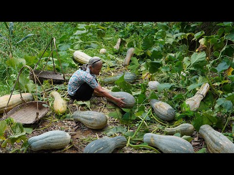 Grandma makes various pumpkin delicacies for her family｜Food ｜玉林阿婆Guangxi Grandma