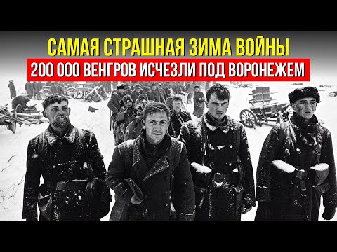 Гибель 200 тысяч венгерских солдат: Зима, изменившая ход войны