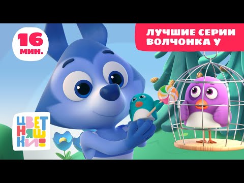 Цветняшки — Лучшие серии Волчонка У — Сборник — Развивающий мультфильм