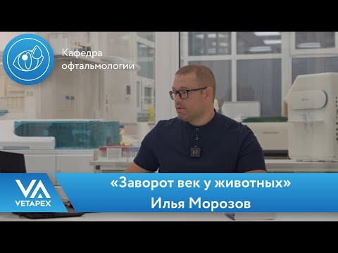 Кафедра Офтальмологии «Заворот век у животных»