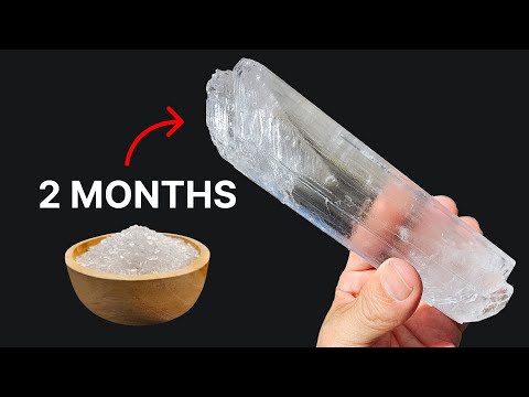 Growing A Huge Crystal from Epsom Salt