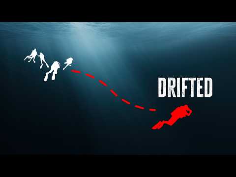 When a Diver Is Found in a Shark’s Stomach