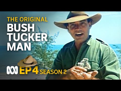 More survival tips from the Top End 🤠🗺️ | Bush Tucker Man | S2 EP4 | ABC Australia