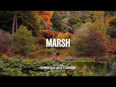 Marsh DJ Set - Live From Leonardslee Gardens, UK