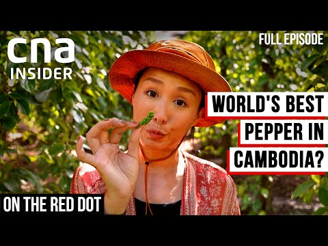 Visiting Kampot, Cambodia To Taste The Best Pepper In The World | On The Red Dot | Full Episode