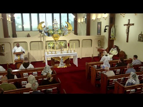 Daily Readings and Homily - 2025-10-11 - Fr. Leonard