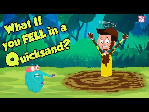 What If You Fell In A Quicksand? | How to Survive QUICKSAND | Dr Binocs Show | Peekaboo Kidz