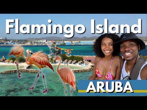 How to Visit FLAMINGO ISLAND: ALL-INCLUSIVE De Palm Island ARUBA