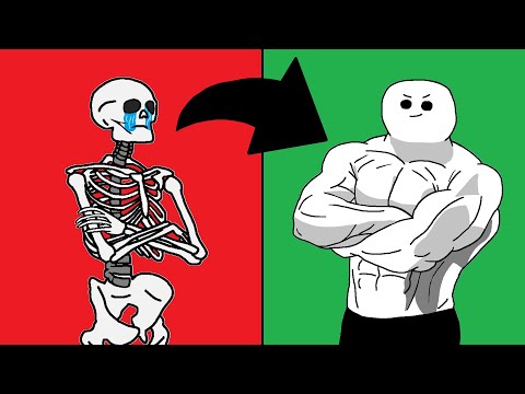 From Skeleton To Beast (Complete Guide)