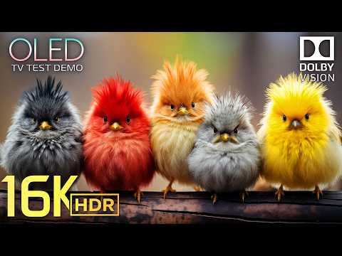 INSANE 16K HDR Dolby Vision 120fps | Future Display Test for 2026 TVs