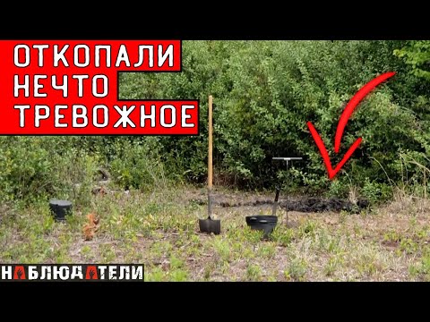 "У меня никогда не было дела с таким сюжетным поворотом" - цитата прокурора. TRUE CRIME Twisted.