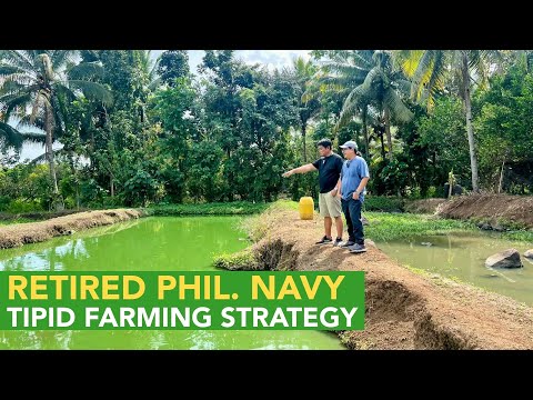 Retired Philippine Navy, Enjoy sa Catfish Farming as Retirement