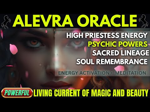 ⚠️🌙 The Caravan Oracle — Awakening the High Priestess Within