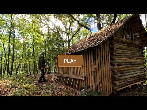 Solo Camping in a Wooden Cabin Between Forest and Rivers