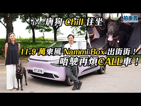 唐狗 Chill 住坐 11.9 萬東風 Nammi Box 出街街！唔駛再煩 CALL 車！｜拍車男