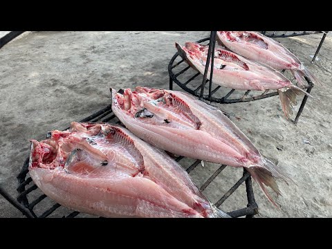 How Uzbeks Fry Fish! Uzbekistan! Fergana Valley!