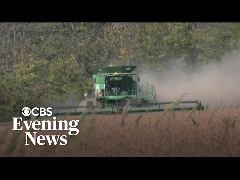 U.S. farmers in a bind as crop prices crash and tariffs drive higher equipment costs