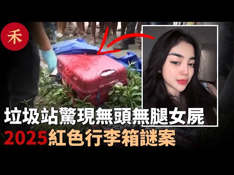 2025新案件！29歲女子失蹤，村莊垃圾站紅色行李箱傳出惡臭#案件 #crime #crimestory #懸疑 #故事 #婚姻