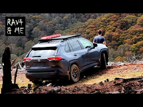 RAV4 Off-Road: Mud, Dirt & Pine Forests #rav4hybrid #ASMR