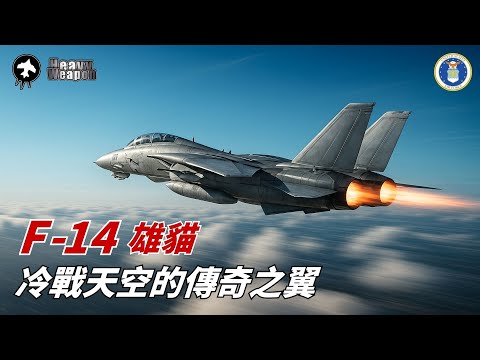 F-14 Tomcat Fighter | Cold War Legend, Top Gun Star: Why Did It End So Brilliantly?