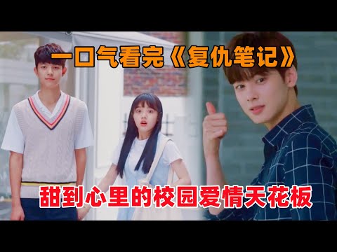 一口气看完《复仇笔记》全集！宠溺杀+土味情话！甜到心里的校园爱情天花板！金香起，车银优，朴所罗门，金焕熙主演