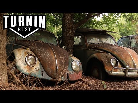 HUGE Abandoned Volkswagen Collection Found after 40 YEARS!! | 1960 VW Beetle | Turnin Rust