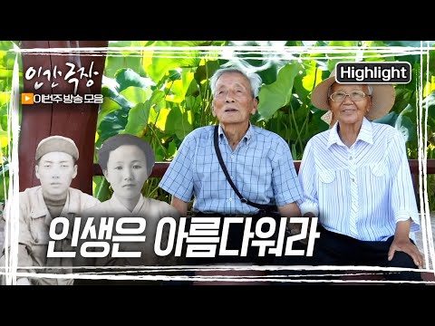 충남 부여군 감나무골 75년째 해로한 짝꿍, 올 가을도 찬란하게 여물어간다 [인간극장] 인생은 아름다워라 1-5부 몰아보기 | KBS 20240930-1004 방송