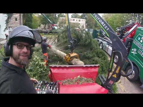 Sofort aufhören! Naturschutz-Behörde auf Baustelle, Maschinen Kaputt..und keine Genehmigung..