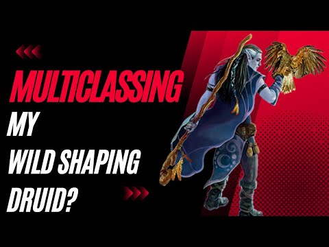 Multiclassing your Wild Shaping Druid: D&D 5e