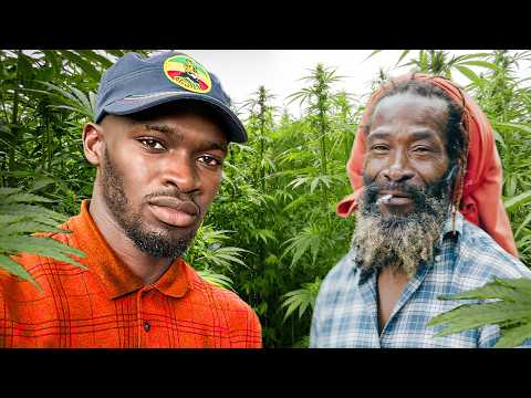 24 Hours With The Rasta People Of Jamaica In Ethiopia.