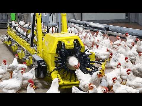 150 Most Satisfying Factory Machines and Ingenious Tools!