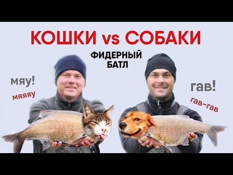 КОШКИ ПРОТИВ СОБАК! Бой кошачьего и собачьего корма за рыбьи сердца! ФИДЕРНЫЙ БАТЛ №3, Сезон 2021-22