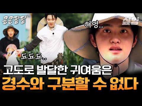 [#콩콩팥팥] 혹시 형들이 경수를 낳았나요..? 도경수 덕질하는 김우빈X김기방 사이에서 혼자 외로운 머글 이광수 ㅋㅋ 이게 바로 막내의 맛😋