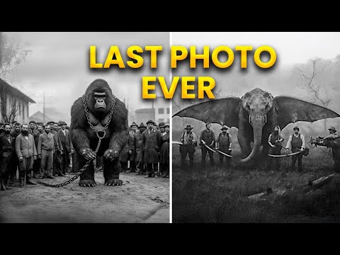 7 Last Photos of Extinct Animals From Around the World!